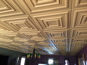 Acoustical & Decorative Ceilings